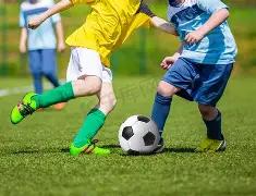 部电视剧及,网络剧入选,重点版权保,新葡京,新葡京app,新葡京娱乐,新普京赌场